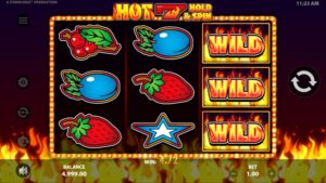 Hot 7 Hold & Spin Slot Online Game Review